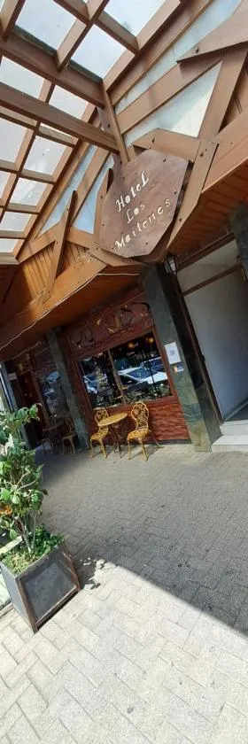 Hotel los maitenes，位于普孔的酒店