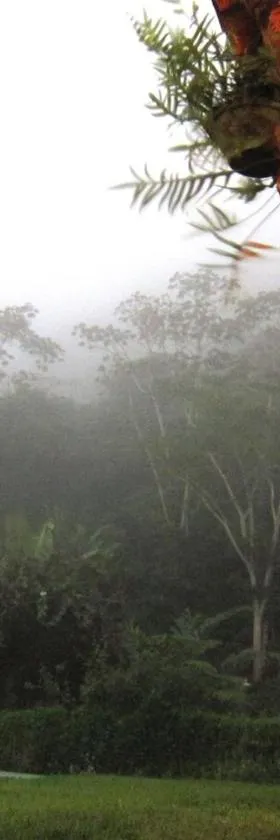 Sítio Maranatá, a mais bela vista do Pacoti!，位于帕科蒂的酒店