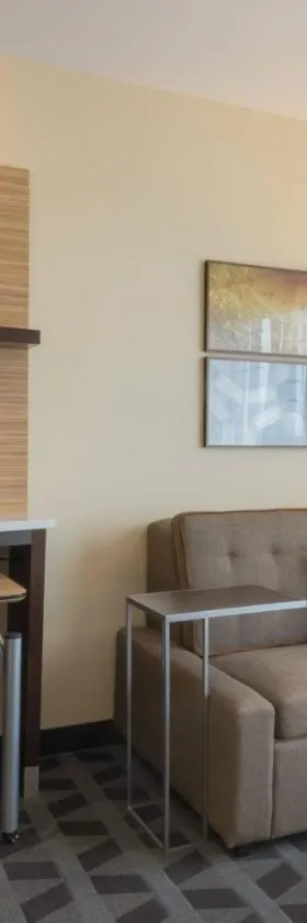 TownePlace Suites by Marriott Syracuse Clay，位于利物浦的酒店