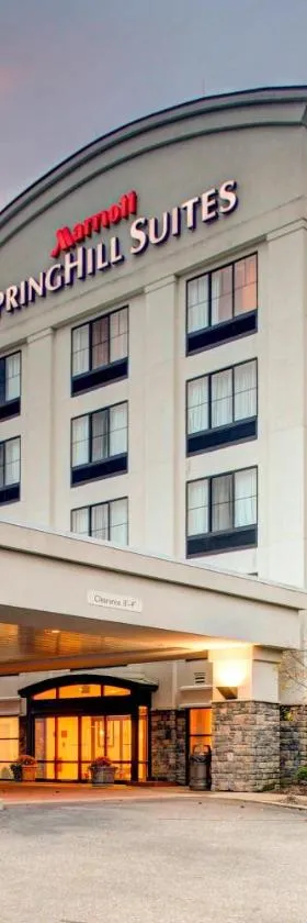 威灵特瑞阿德尔福亚地区春季山丘套房万豪酒店，位于惠灵的酒店