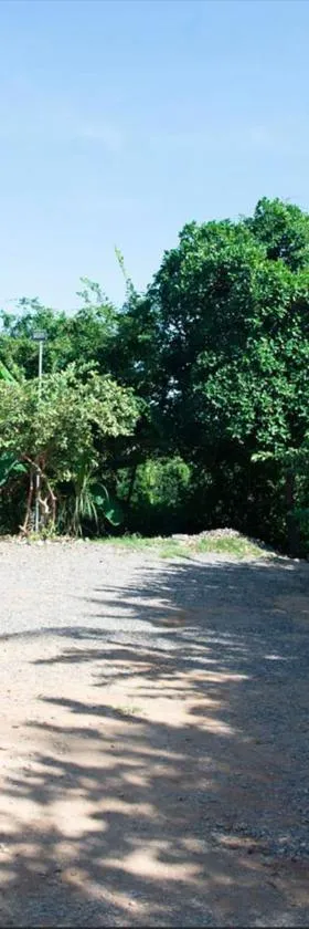 Phnom Meas Homestay，位于Sisophon 的酒店