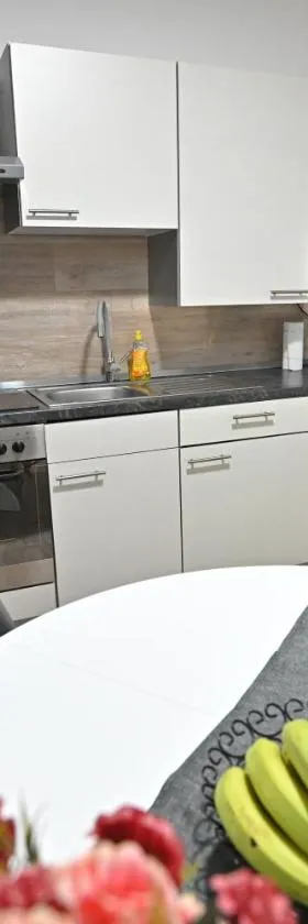 Apartman Vista，位于Belišće的酒店