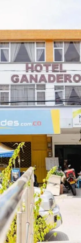 HOTEL GANADERO，位于拉多拉达的酒店