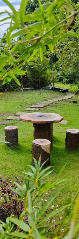 Nature's Cabin，位于董索的酒店