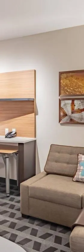 TownePlace Suites Austin South，位于奥斯汀的酒店