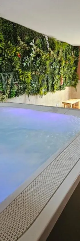 Domaine Caloin - SPA，位于Echinghen的酒店