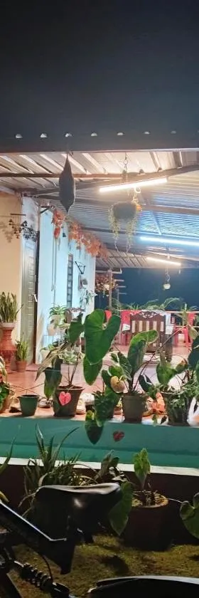 Coorg Coffee Park Farmstay，位于Somvārpet的酒店
