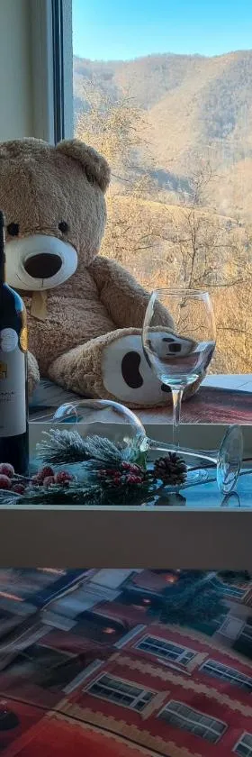 Vila Horizont，位于奥夫查尔巴尼亚尼的酒店