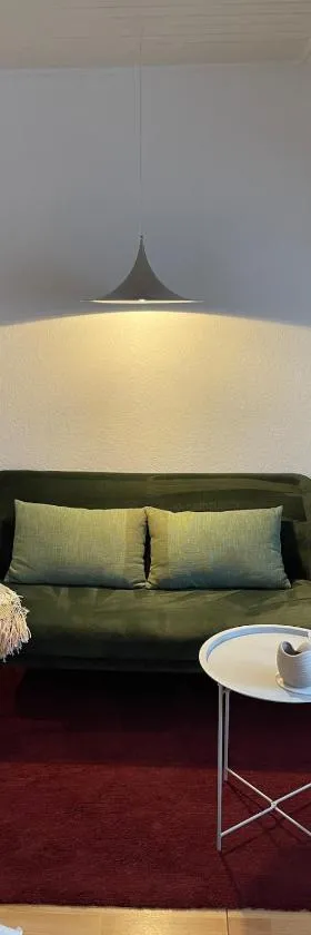 Charming 1-Bedroom Apartment with FREE Parking，位于奥胡斯的酒店