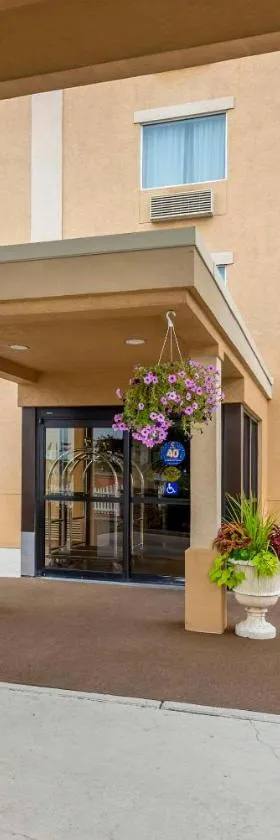 Comfort Inn & Suites Wilkes Barre - Arena，位于威克斯巴勒的酒店