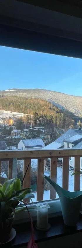 Apartmán Čížci Horní Maršov，位于上马尔绍夫的酒店
