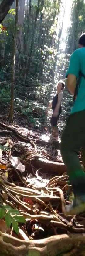 Rainforest River Edge，位于代尼耶耶的酒店