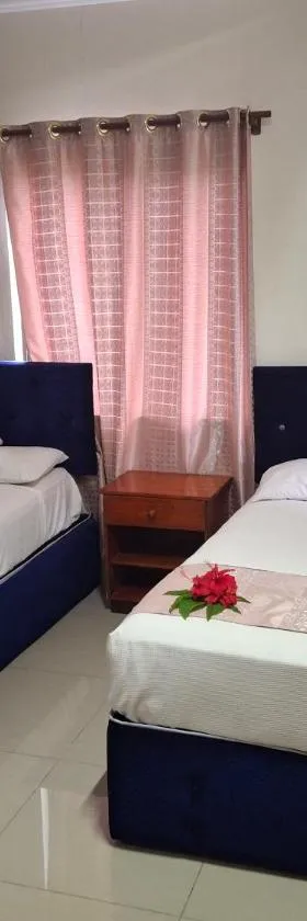 Tavua Hotel Ismail Investments，位于Tavua的酒店