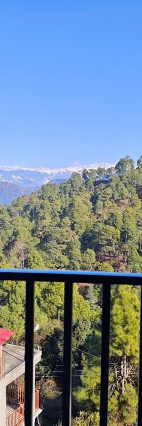 Hotel Pines & Peaks Dalhousie，位于Banikhet的酒店