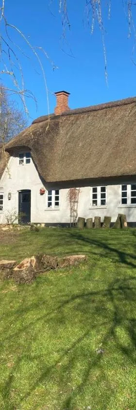 Cozy cottage getaway Holse，位于Brenderup的酒店