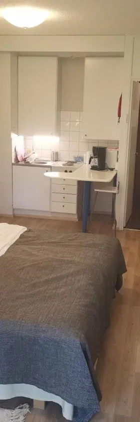 Apartment 137 in Ikaalinen Spa-Hotel, 1st floor，位于伊卡利宁的酒店