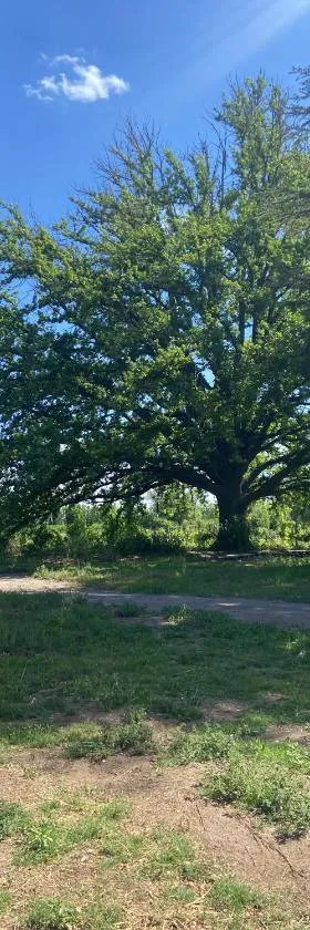 Finca Macalicia，位于圣拉斐尔的酒店