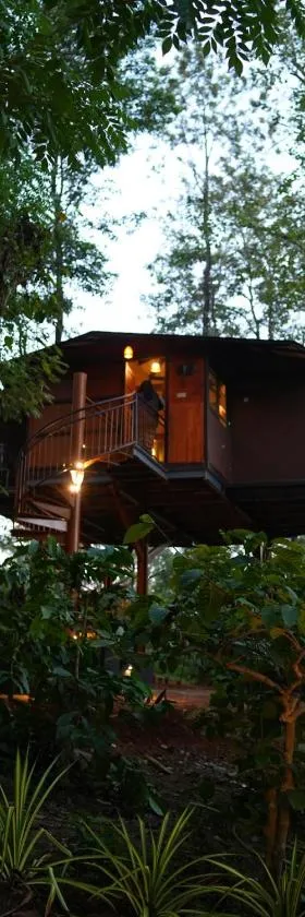 Pugmarks Jungle Lodge，位于Chekadi的酒店