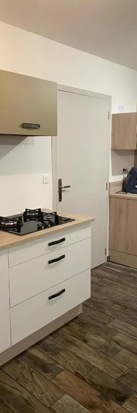 Gite，位于阿洛讷河畔布兰的酒店