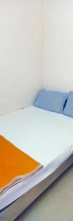 VN Guest House，位于Prayagraj的酒店