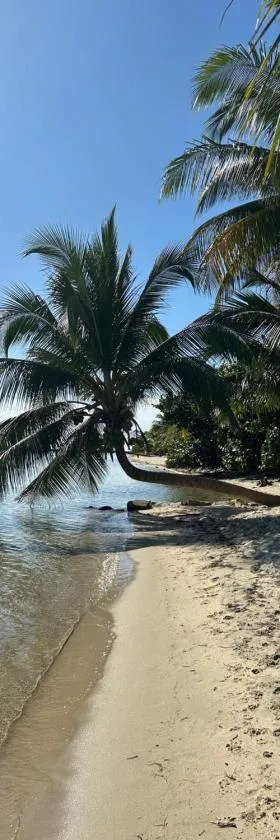 Palm & Pelican，位于玛雅湾的酒店