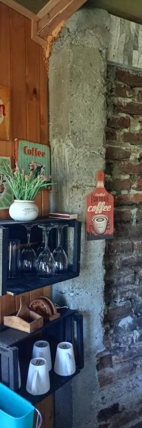 Cabaña con vista al Volcan，位于弗鲁蒂亚尔的酒店