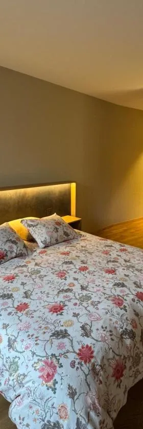 Auberge de l'Étoile，位于La Rippe的酒店