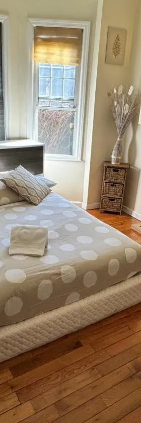 Serenity Room JFK，位于法洛克威的酒店