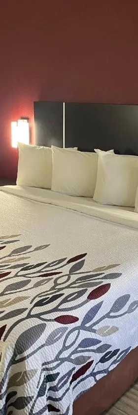 Red Roof Inn Rockingham，位于罗金厄姆的酒店