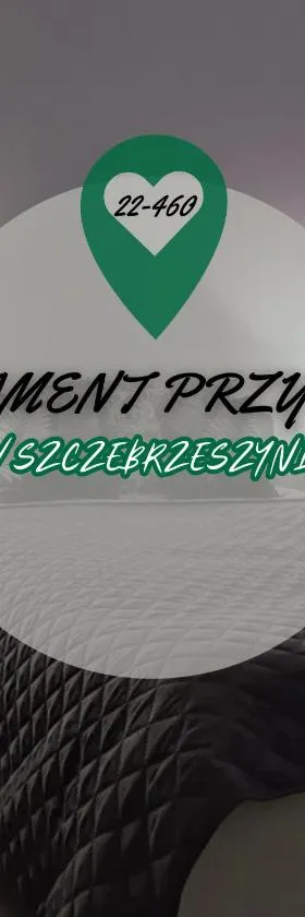Apartament przy rynku w Szczebrzeszynie，位于Szczebrzeszyn的酒店