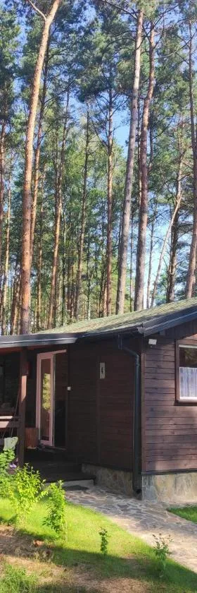 Domek pod sosnami，位于Grodziczno的酒店