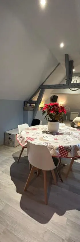 Studio centre ville，位于罗莫朗坦的酒店