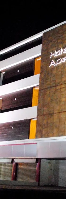 Hotel New Apex，位于Ankleshwar的酒店