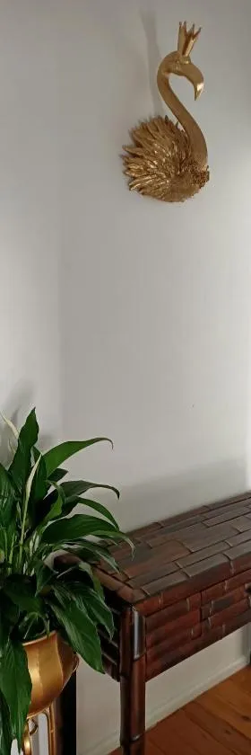 Wake up and smell the Coffee，位于沃伊沃伊的酒店