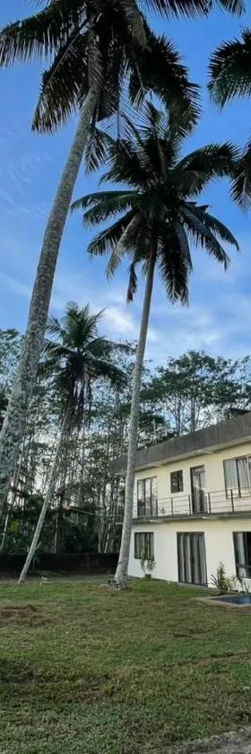 Golden Riverside Resort Kosgama，位于Kosgama的酒店