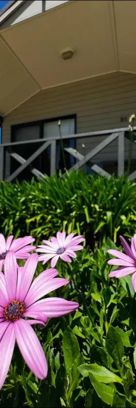 Eaglehawk Park Canberra，位于堪培拉的酒店