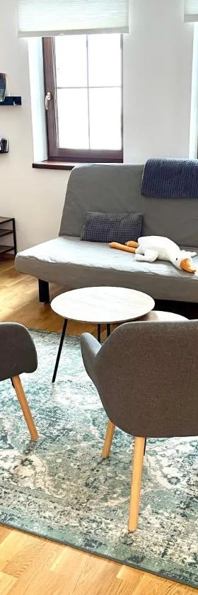 Apartmán U Merlina，位于德尔内夫奥里克的酒店
