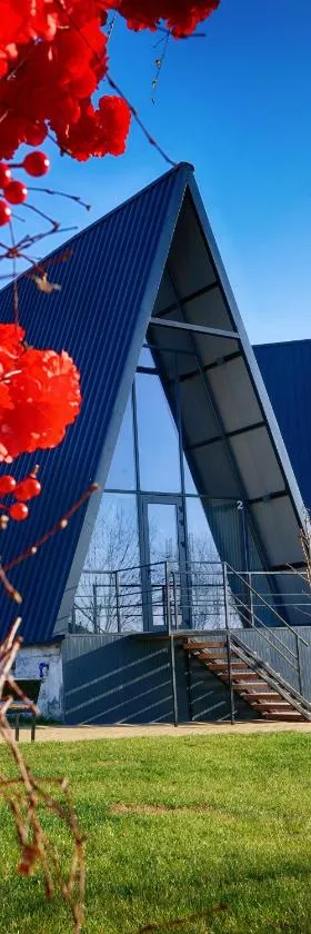 Green Village Pensiune，位于Roşu的酒店