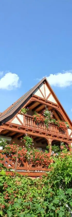 Maison charmante avec vue sur la montagne à Triembach-au-Val，位于Triembach-au-Val的酒店