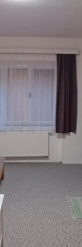 Apartmán Horní Slavkov Hodinářství，位于Horní Slavkov的酒店