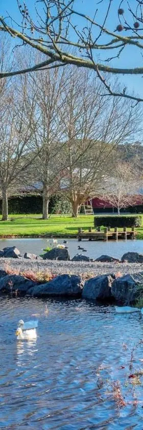 Nirvana Farm, Clevedon，位于Clevedon的酒店