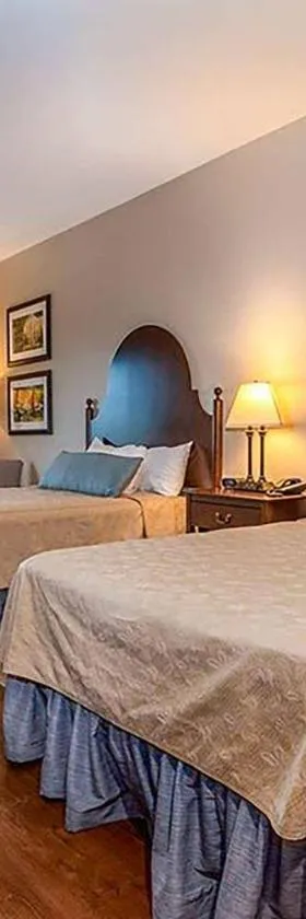 Chateau Saint Denis Hotel, a Trademark Collection by Wyndham，位于纳契托什的酒店