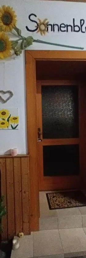 Sonnenblume Apartment，位于Oggau的酒店