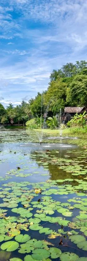 Lampang River Lodge，位于南邦的酒店
