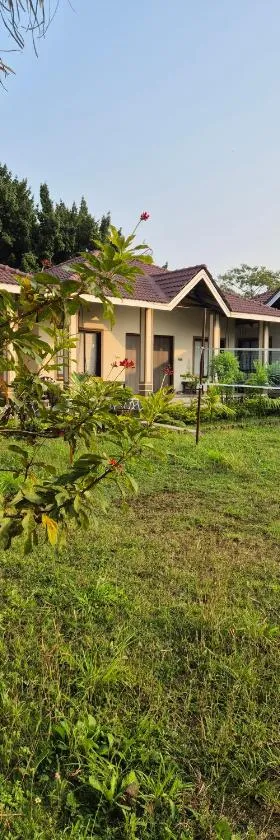 Windchime Cottages，位于阿利鲍格的酒店