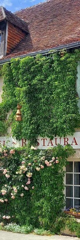 Logis Hôtel Restaurant Relais de la Mothe，位于克勒兹河畔伊泽尔的酒店