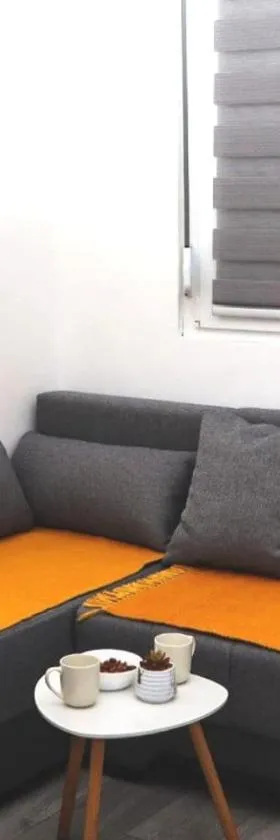 Apartman Misic，位于下米拉诺瓦茨的酒店
