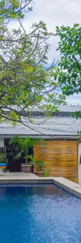 Dive Timor Guesthouse and Apartments，位于帝力的酒店