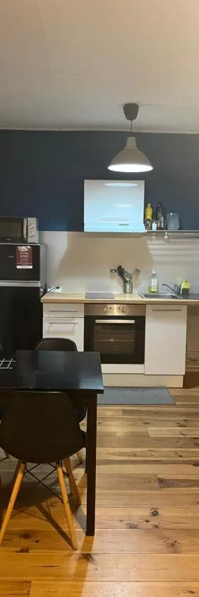 Appartement centre St Genest Malifaux，位于Saint-Genest-Malifaux的酒店