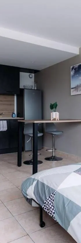 Le Nid Dardilly, Studio confort, calme, parking, Idéal pro，位于达迪利的酒店